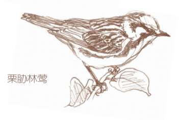 “这年头，真是什么邻居都有！” 邻居 小时候 小伙伴们 邻居们 周围 种子 树叶 野花 果实 宝藏 崇真艺客