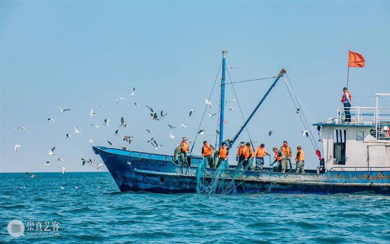 会员专属丨守护“蔚蓝”,等你行动! 会员 专属 行动 海天 一线 SWCAC WWF 地球 世界 海洋生活 崇真艺客