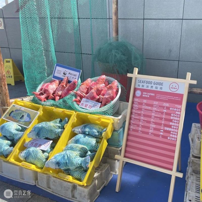 会员专属丨守护“蔚蓝”,等你行动! 会员 专属 行动 海天 一线 SWCAC WWF 地球 世界 海洋生活 崇真艺客