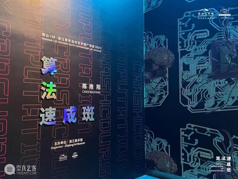 “南山138”线上展厅 | 陈抱阳：算法速成斑，用想象力寻找认知无法抵达的地方~ 视频资讯 浙江美术馆 南山 陈抱阳 算法 展厅 线上 想象力 地方 浙江 青年 艺术 崇真艺客