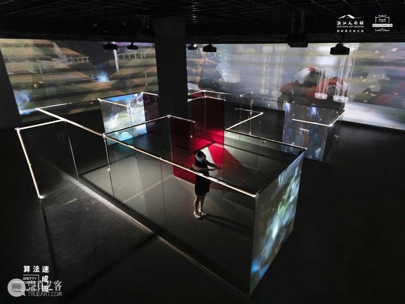 “南山138”线上展厅 | 陈抱阳：算法速成斑，用想象力寻找认知无法抵达的地方~ 视频资讯 浙江美术馆 南山 陈抱阳 算法 展厅 线上 想象力 地方 浙江 青年 艺术 崇真艺客