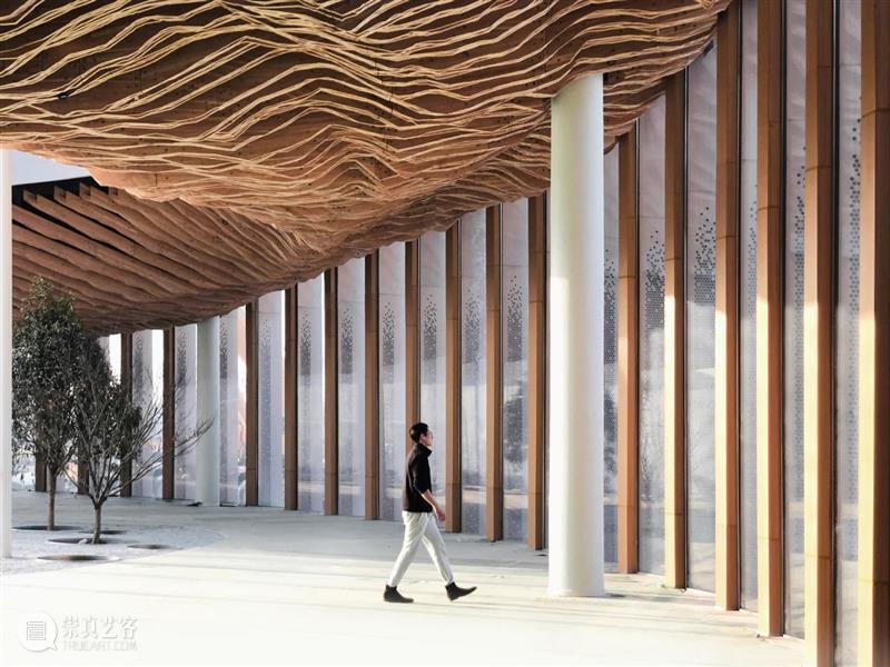 机械臂建造，南京园博园2号口 / 同道建筑+大界机器人 视频资讯 RoboticPlus.AI 大界 南京 园博园2号 建筑 机器人 机械臂 同道 雒建利 郭靖 口胶合木 崇真艺客