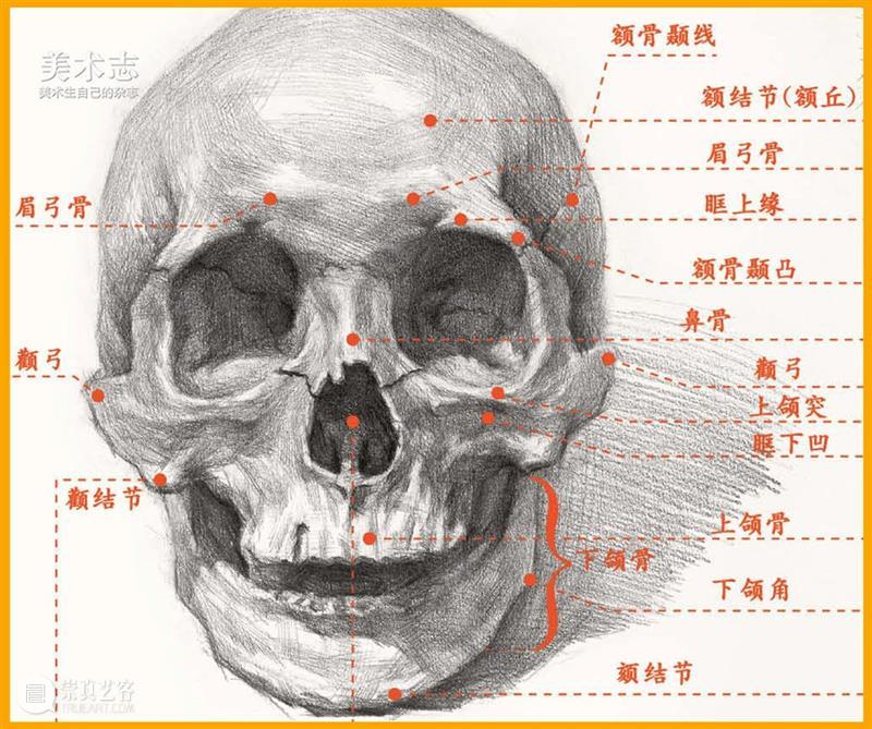 通过【石膏眼睛】学习了解眼睛的结构和特征，千万不要错过 ！ 石膏 眼睛 特征 结构 素描 头像 重点 同学们 心灵 窗户 崇真艺客