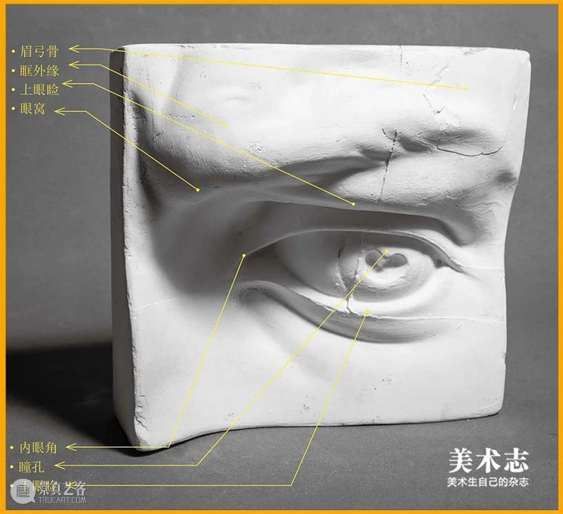 通过【石膏眼睛】学习了解眼睛的结构和特征，千万不要错过 ！ 石膏 眼睛 特征 结构 素描 头像 重点 同学们 心灵 窗户 崇真艺客