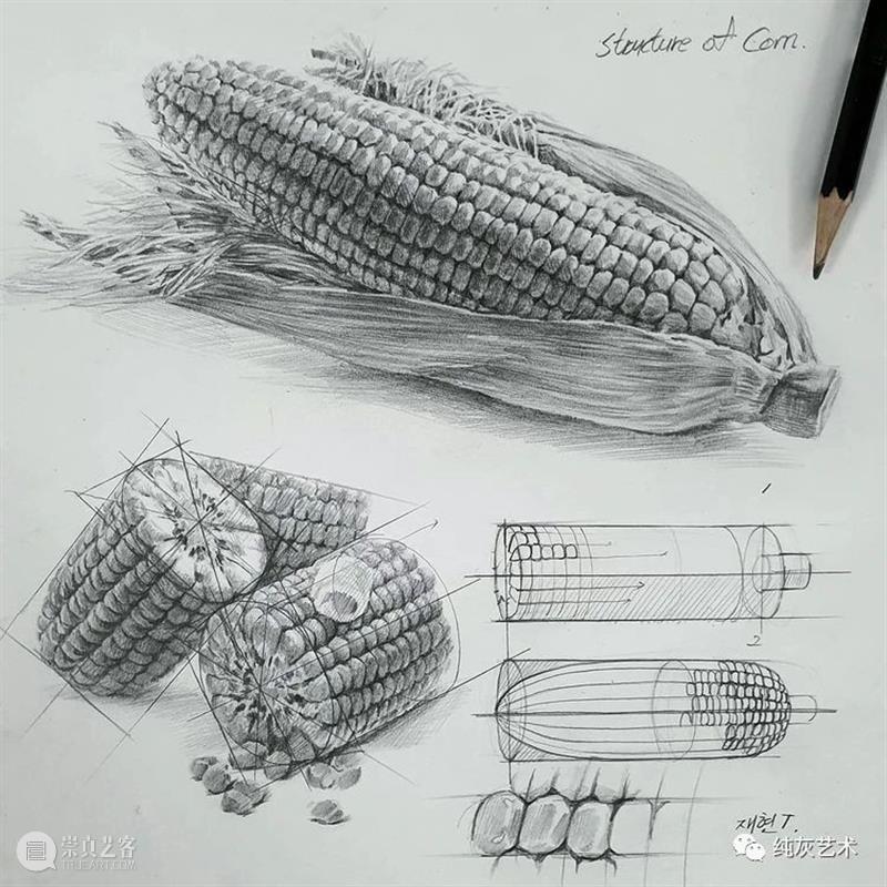 素描静物的结构和质感 素描 静物 结构 质感 韩国 艺术家 anjjaemi 作品 一幅画 细节 崇真艺客