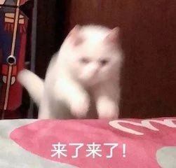 《1950他们正年轻》今日上映;DC新片《雷霆沙赞2》杀青 1950他们正年轻 雷霆沙赞2 新片 影视 好剧 小豆 资讯 豆瓣 电影 微信 崇真艺客