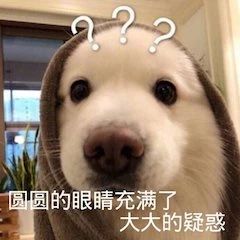 《1950他们正年轻》今日上映;DC新片《雷霆沙赞2》杀青 1950他们正年轻 雷霆沙赞2 新片 影视 好剧 小豆 资讯 豆瓣 电影 微信 崇真艺客