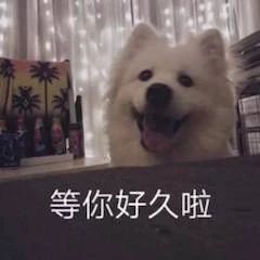 《1950他们正年轻》今日上映;DC新片《雷霆沙赞2》杀青 1950他们正年轻 雷霆沙赞2 新片 影视 好剧 小豆 资讯 豆瓣 电影 微信 崇真艺客
