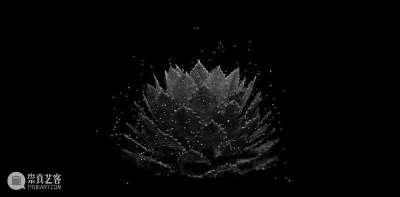 科技 | 通过数字世界表达对自然审美的欣赏新方式 世界 数字 方式 自然 科技 上方 中国舞台美术学会 右上 星标 本文 崇真艺客