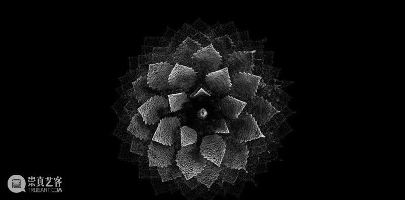 科技 | 通过数字世界表达对自然审美的欣赏新方式 世界 数字 方式 自然 科技 上方 中国舞台美术学会 右上 星标 本文 崇真艺客