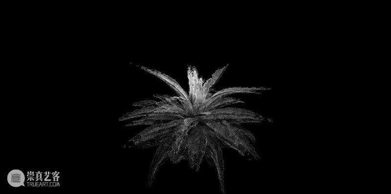 科技 | 通过数字世界表达对自然审美的欣赏新方式 世界 数字 方式 自然 科技 上方 中国舞台美术学会 右上 星标 本文 崇真艺客