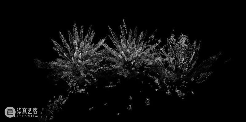 科技 | 通过数字世界表达对自然审美的欣赏新方式 世界 数字 方式 自然 科技 上方 中国舞台美术学会 右上 星标 本文 崇真艺客