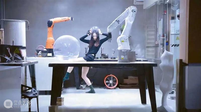 策展手记丨发现种子的喜悦 种子 策展 手记 前滩 青年 创艺 计划 文化 演艺 中心 崇真艺客