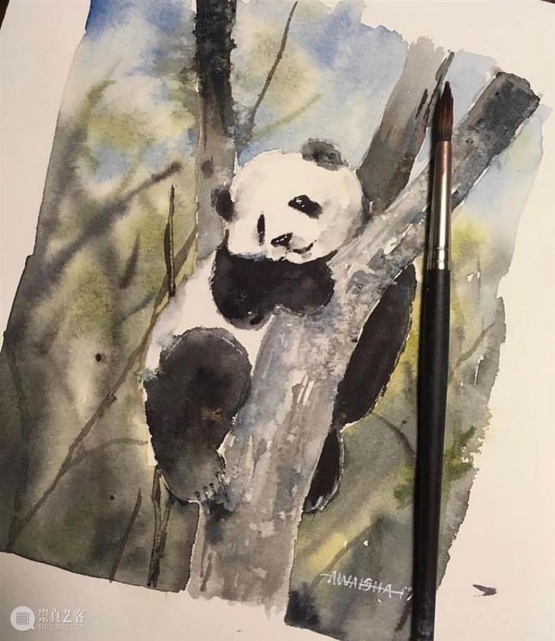 看看什么叫清秀透亮的水彩作品！雪景真的画得太棒了！ 水彩 作品 雪景 END 崇真艺客