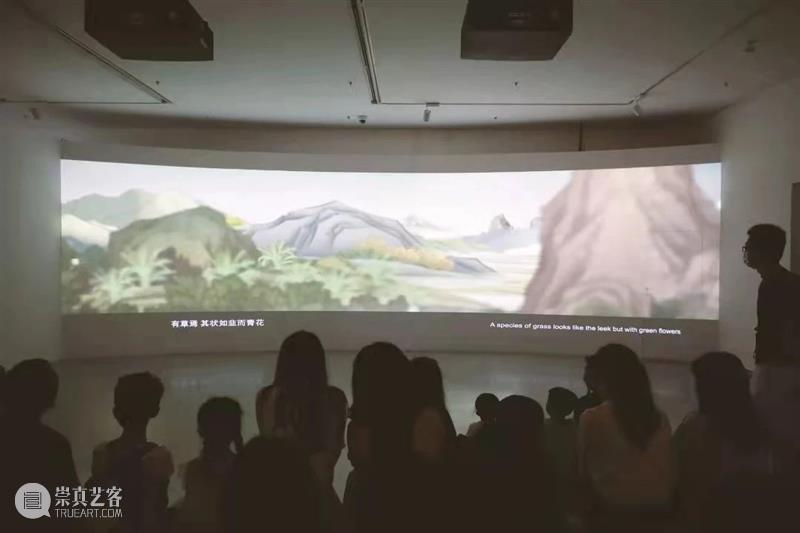 故宫神兽 | 小画师共创兽谱涂鸦,全新系列工坊上线! 故宫 画师 兽谱 神兽 系列 工坊 神兽世界 以来 SWCAC 小燕画院 崇真艺客