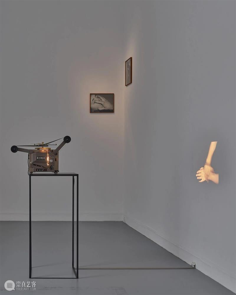 对话 | Joanna Piotrowska 一个人可以拍摄情绪吗？ Joanna Piotrowska 一个人 情绪 Untitled 波兰 艺术家 照片 视频 人际 崇真艺客
