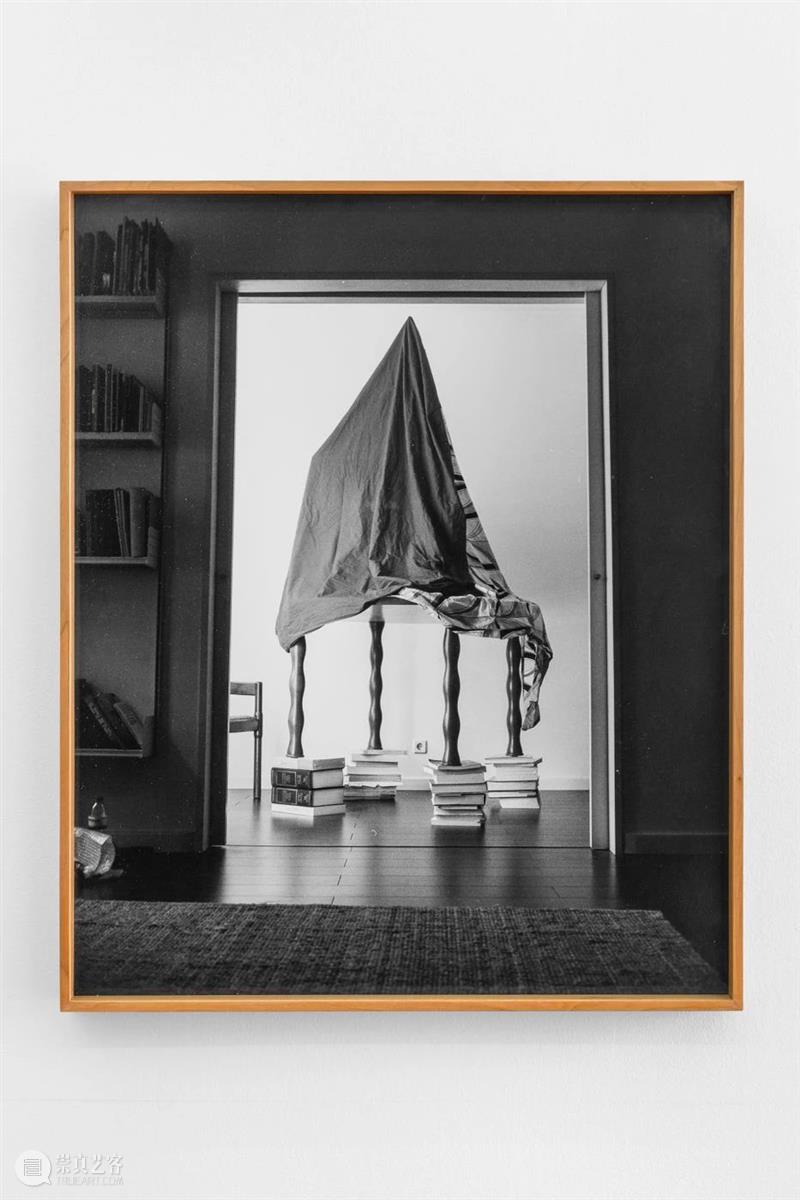 对话 | Joanna Piotrowska 一个人可以拍摄情绪吗？ Joanna Piotrowska 一个人 情绪 Untitled 波兰 艺术家 照片 视频 人际 崇真艺客