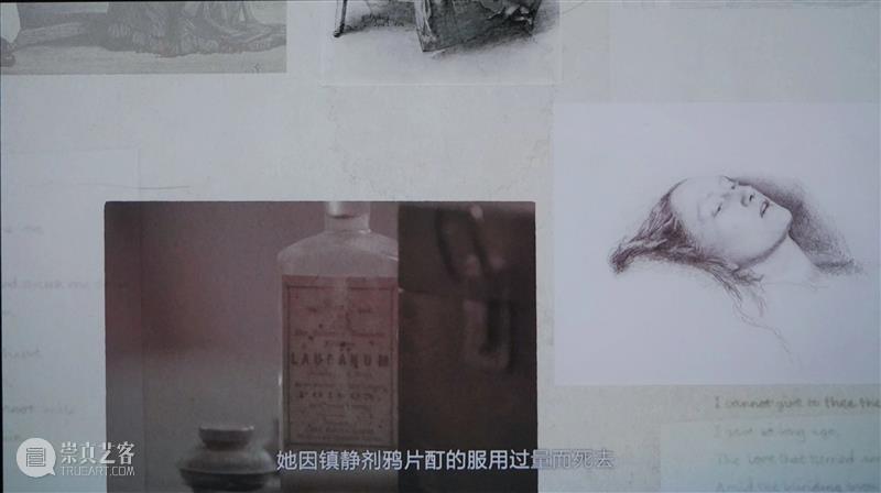 MAP展览| 《奥菲莉娅》与约翰·埃弗里特·米莱 米莱 奥菲莉娅 约翰 埃弗里特 MAP 泰特美术馆 展展期 展厅 作品 前拉斐尔 崇真艺客