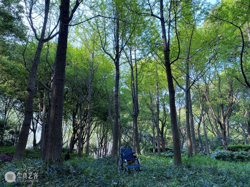 《入土为安》观众招募 | 在⼀切正常的表面秩序下,是⼀群人的漫长等待、煎熬犹豫、情爱怨恨。 入土为安 观众 表面 秩序 情爱 问题 答案 钥匙 未知 上海话剧艺术中心国际创作实验室 崇真艺客