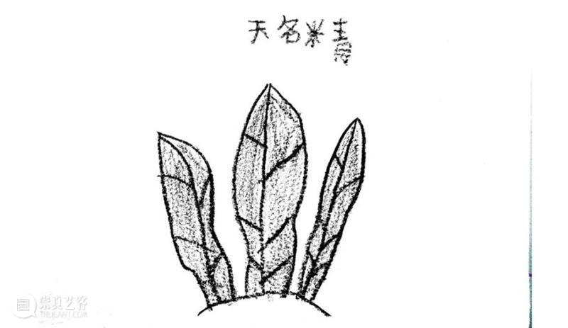 99公益日 | 送孩子最好的礼物是什么?送TA一份关于未来的可能性 未来 礼物 孩子 公益 可能性 乡村 小朋友 艺术 自然 地方 崇真艺客