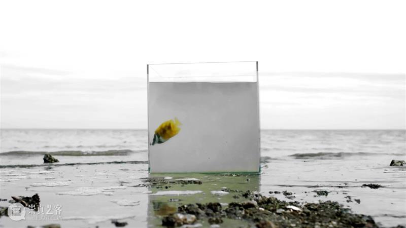 【媒体报道】南方人物周刊 | 曹雨：一个二胎妈妈对艺术的冒犯 视频资讯 麦勒画廊 艺术 曹雨 二胎 南方 人物 周刊 媒体 妈妈 老天 武器 崇真艺客