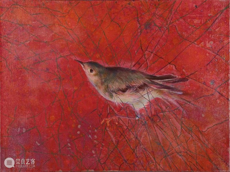 问象展讯｜潘越个展：沉睡的水 潘越 个展 展讯 展期 Opening 地点 Location 艺术 空间 展馆 崇真艺客