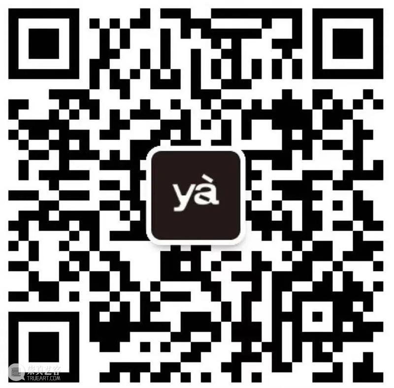 A4青年|找 yà ,找朋友 青年 yà 朋友 寻友 启事 姓名 特征 创意 天线 好奇心 崇真艺客