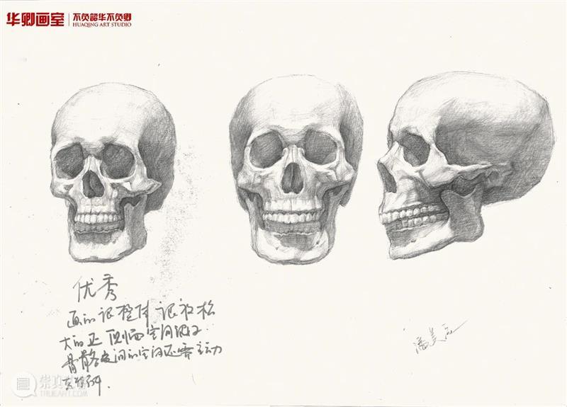 学20天就能变成这样？你可别骗我 ！ 崇真艺客
