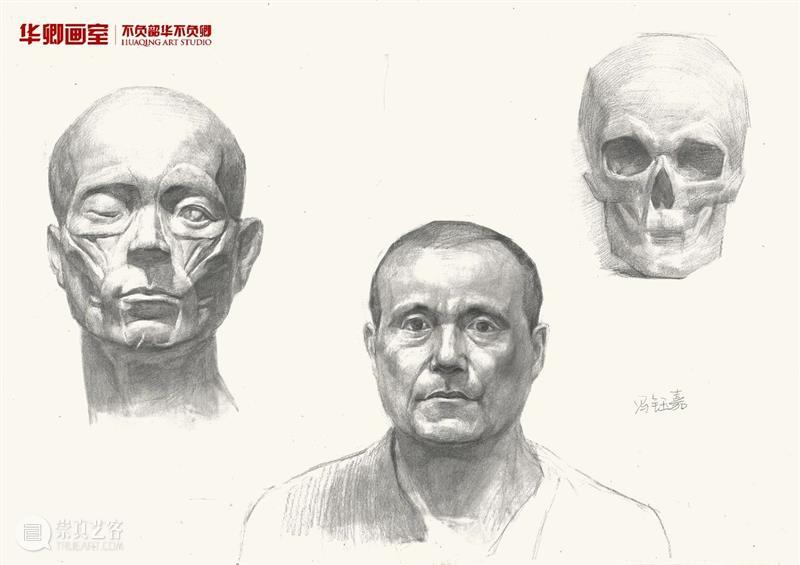 学20天就能变成这样？你可别骗我 ！ 崇真艺客