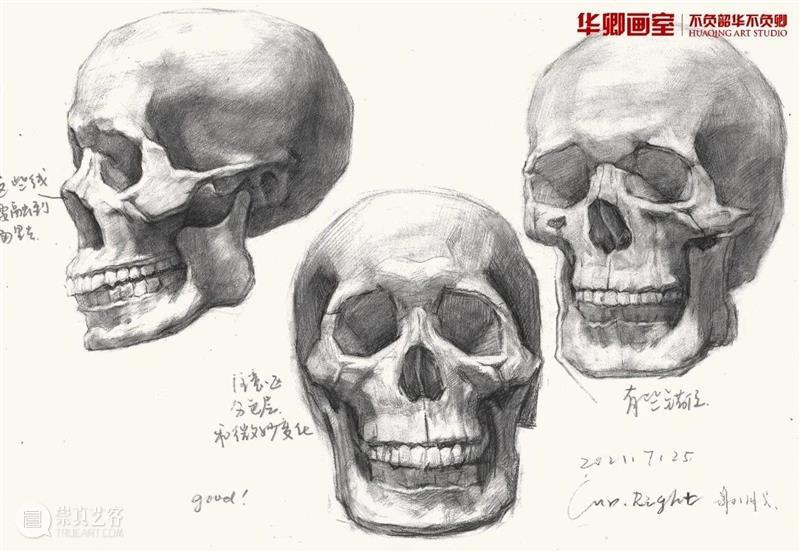 学20天就能变成这样？你可别骗我 ！ 崇真艺客