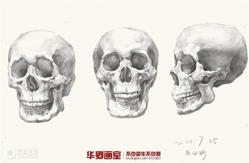 学20天就能变成这样？你可别骗我 ！ 崇真艺客