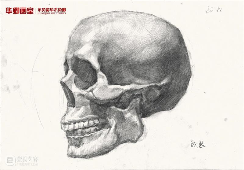 学20天就能变成这样？你可别骗我 ！ 崇真艺客