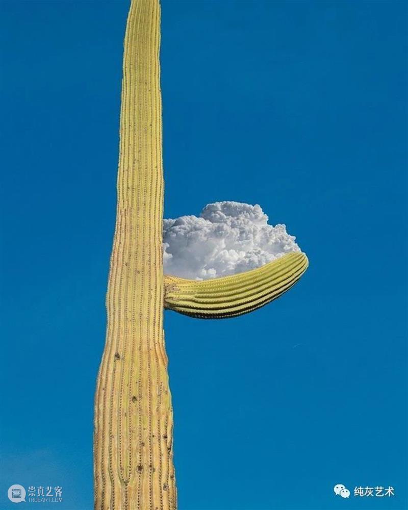 把梦想照进现实 梦想照进现实 纽约 韩裔 摄影师 tinycactus 超现实主义 云彩 身边 风景 云层 崇真艺客