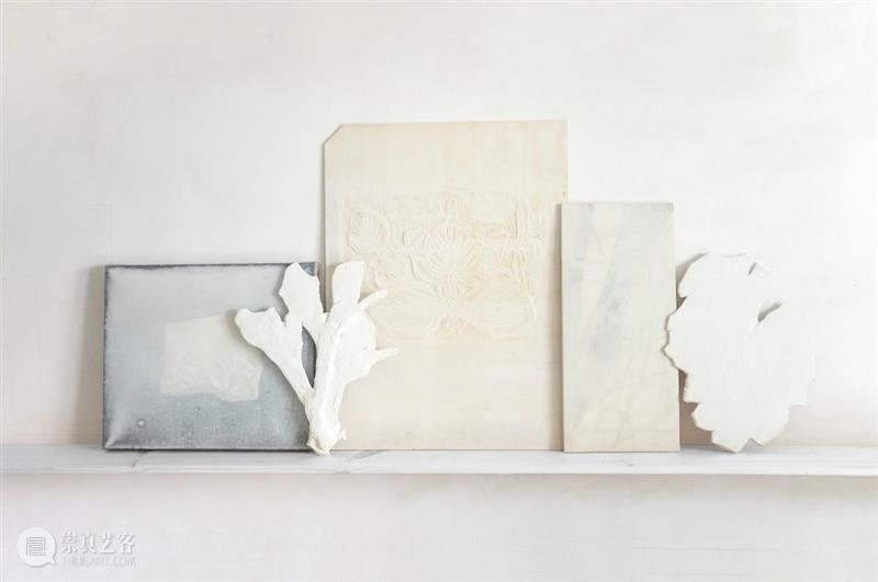 东画廊 | 2021 Art Shenzhen 艺术深圳 展位 B09 艺术 深圳 画廊 Art Shenzhen 展位 Shenzhen2021东画廊展位B09 艺术家 Zaifei 常陵 崇真艺客