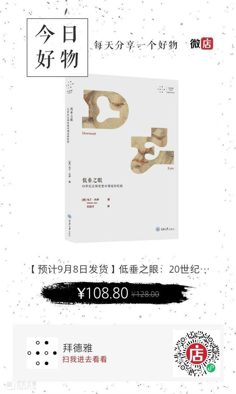 重磅新书丨马丁 · 杰伊《低垂之眼》：一部大开“眼”界的法国思想史 新书 法国 思想史 杰伊 马丁 低垂之眼 思想 视觉 马丁·杰伊 孔锐 崇真艺客