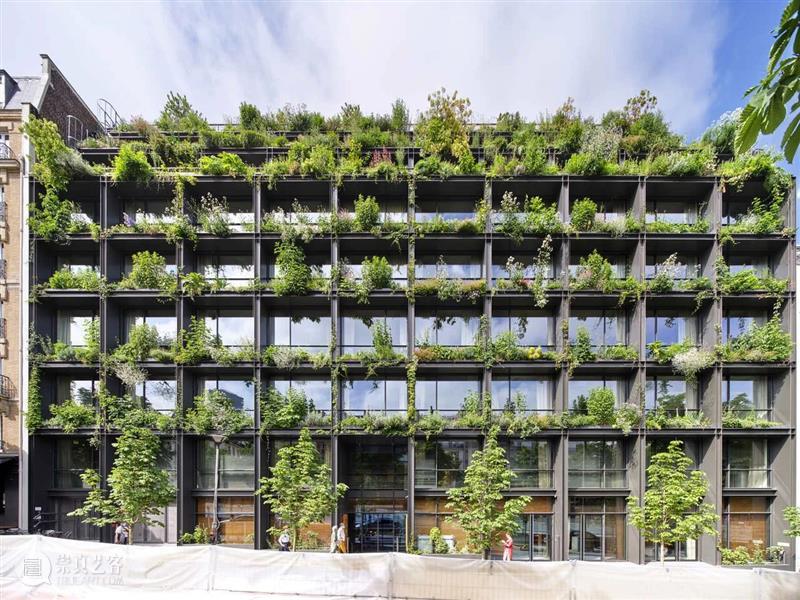 阳台种草药，M 大楼 / Triptyque Architecture 大楼 阳台 草药 Michel 自然主义 宣言 功能 综合大楼 巴黎繁华的蒙帕纳斯区 Pasteur 崇真艺客