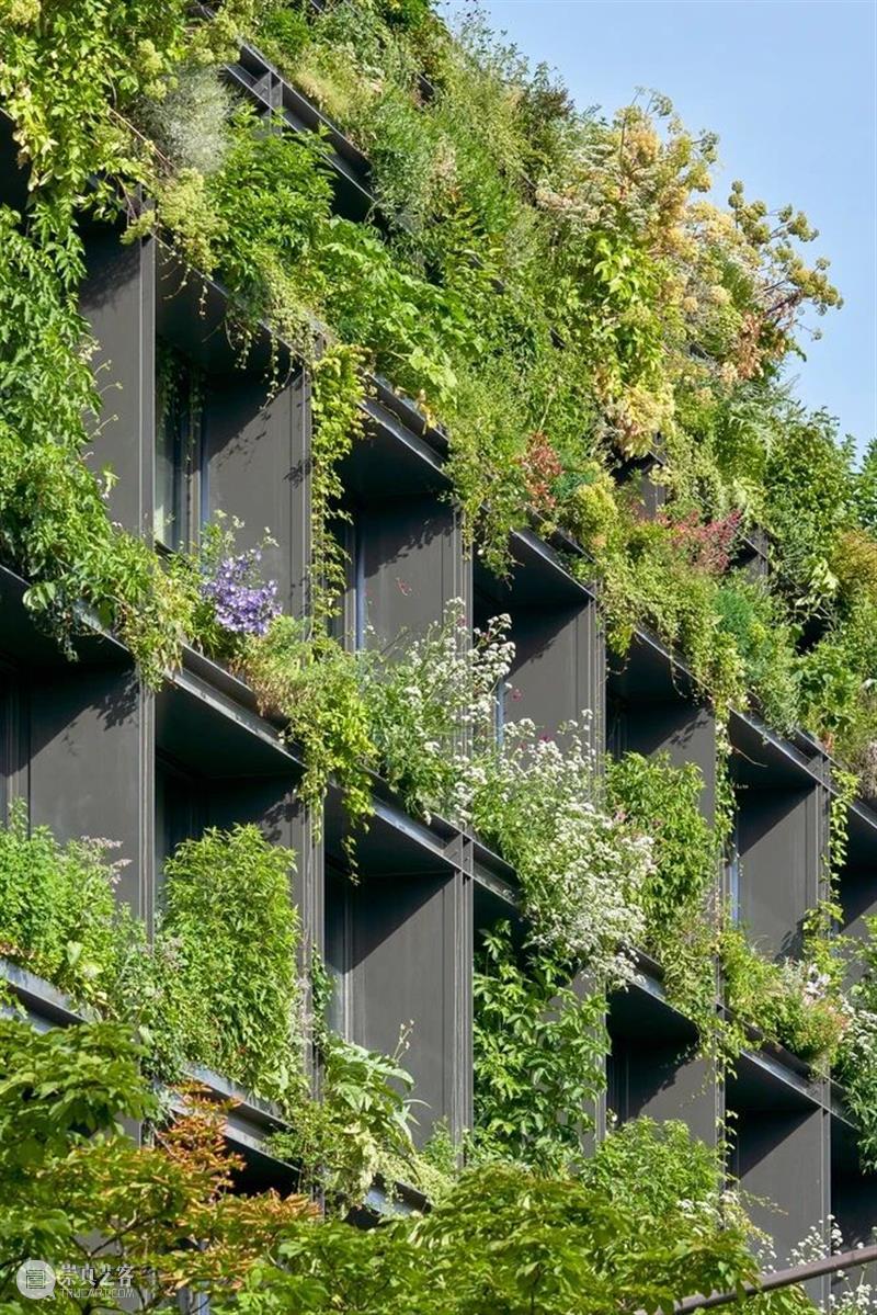 阳台种草药，M 大楼 / Triptyque Architecture 大楼 阳台 草药 Michel 自然主义 宣言 功能 综合大楼 巴黎繁华的蒙帕纳斯区 Pasteur 崇真艺客