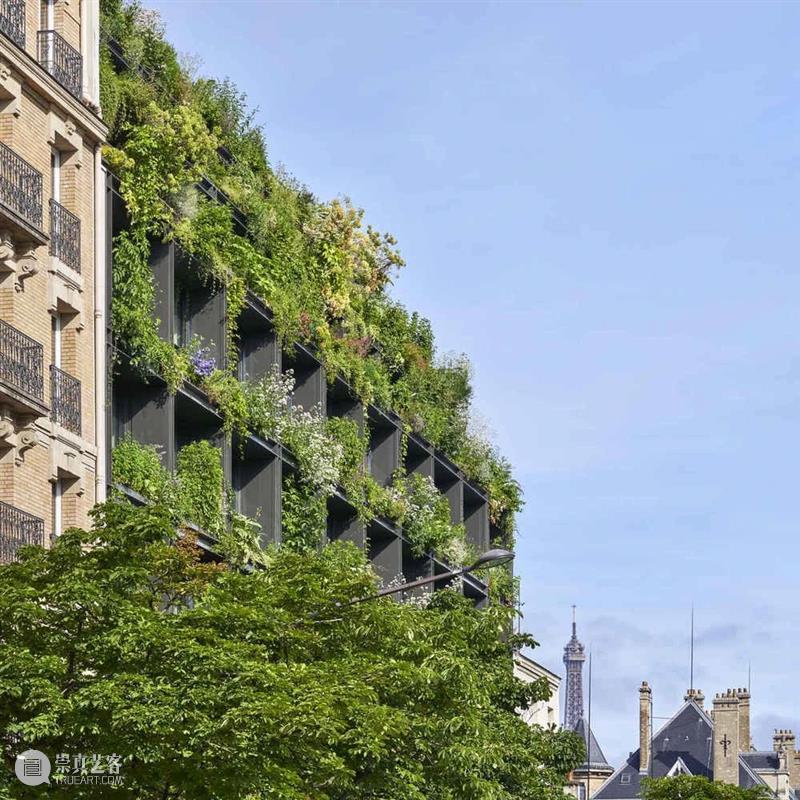 阳台种草药，M 大楼 / Triptyque Architecture 大楼 阳台 草药 Michel 自然主义 宣言 功能 综合大楼 巴黎繁华的蒙帕纳斯区 Pasteur 崇真艺客