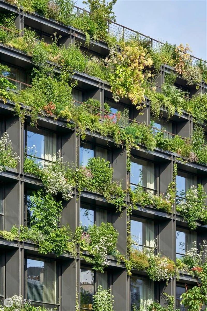 阳台种草药，M 大楼 / Triptyque Architecture 大楼 阳台 草药 Michel 自然主义 宣言 功能 综合大楼 巴黎繁华的蒙帕纳斯区 Pasteur 崇真艺客