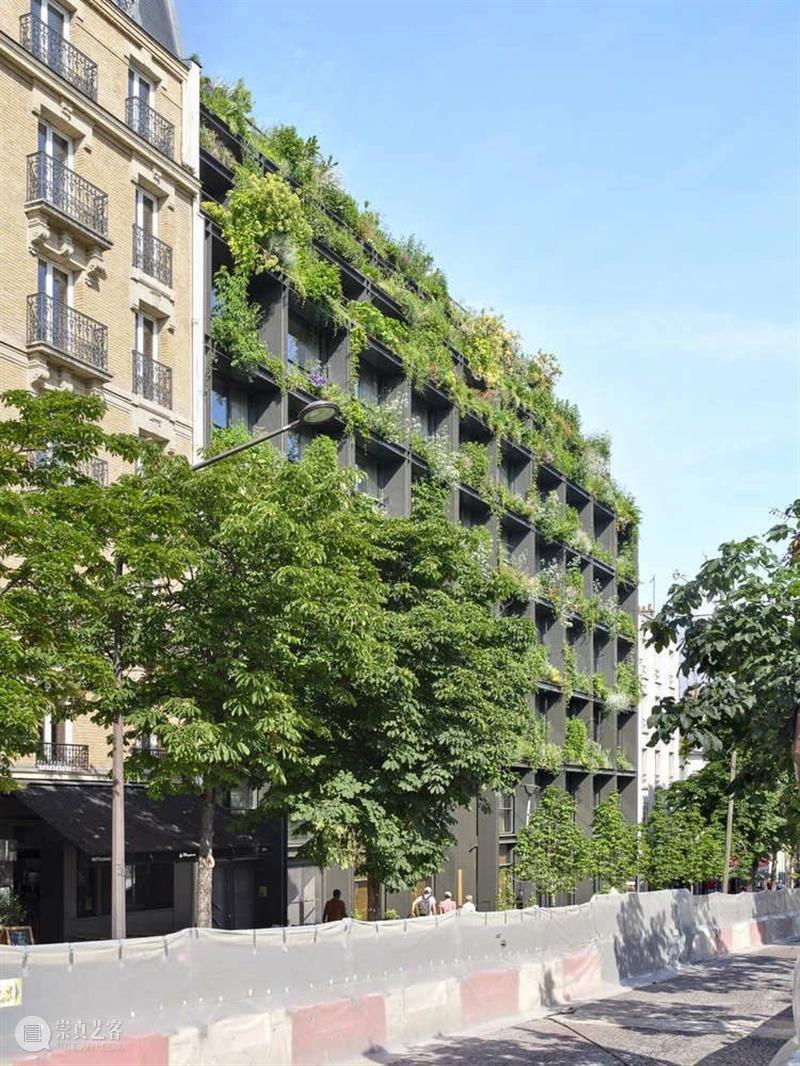 阳台种草药，M 大楼 / Triptyque Architecture 大楼 阳台 草药 Michel 自然主义 宣言 功能 综合大楼 巴黎繁华的蒙帕纳斯区 Pasteur 崇真艺客