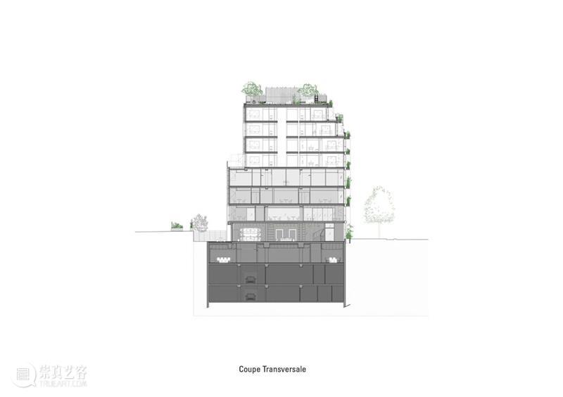 阳台种草药，M 大楼 / Triptyque Architecture 大楼 阳台 草药 Michel 自然主义 宣言 功能 综合大楼 巴黎繁华的蒙帕纳斯区 Pasteur 崇真艺客