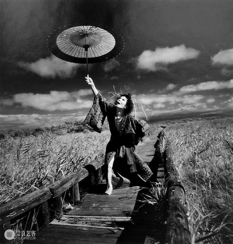 影像上海艺术博览会参展画廊 | see+画廊 see+画廊 影像 画廊 上海艺术博览会 展位 艺术家 细江英公 须田一政 帝尔 里瑟 崇真艺客
