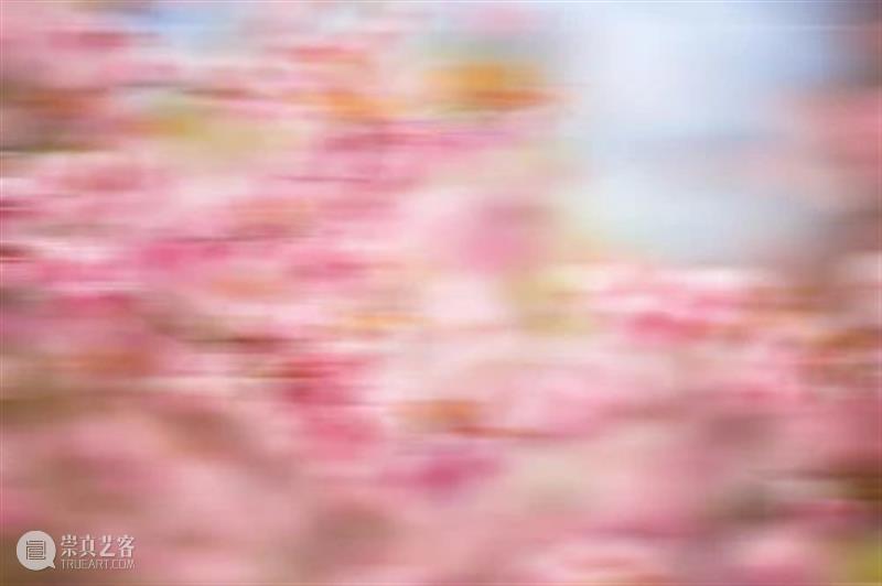 2021 Bàng!儿童艺术节|“奇妙的旅行”之“桃花源记”工作坊回顾 桃花源记 工作坊 Bàng 儿童 艺术节 孩子 艺术展 小朋友 刘彧文 导师 崇真艺客