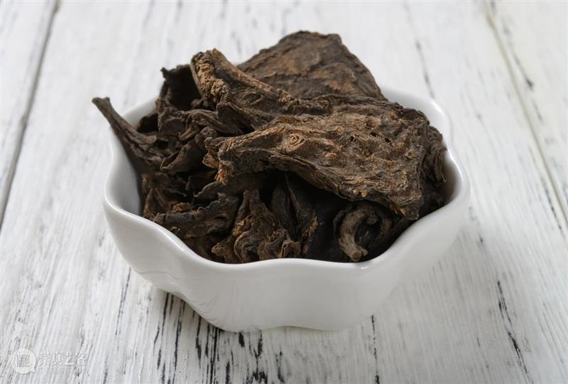 黄花花，红果果，吃完也会躺板板 板板 黄花 红果果 植物 白杆杆 图书 脑子 旋律 许多 菌类 崇真艺客