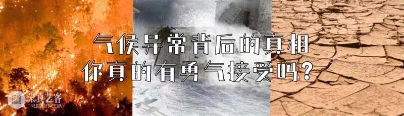 黄花花，红果果，吃完也会躺板板 板板 黄花 红果果 植物 白杆杆 图书 脑子 旋律 许多 菌类 崇真艺客