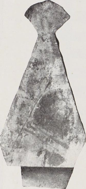 南山供秀｜1958年《塔里木盆地考古记》高清电子版免费下载 南山 秀｜ 塔里木盆地考古记 电子版 内容 记录 文物 报告 调查报告 塔里木盆地 崇真艺客