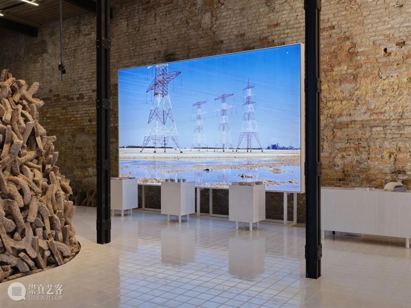 减碳从水泥开始｜2021年威双金狮奖最佳国家馆：联合酋“湿地” 湿地 国家馆 金狮奖 水泥 威双 SITE 策展人 寺本宪 Kenichi Wetland 崇真艺客