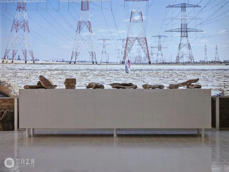 减碳从水泥开始｜2021年威双金狮奖最佳国家馆：联合酋“湿地” 湿地 国家馆 金狮奖 水泥 威双 SITE 策展人 寺本宪 Kenichi Wetland 崇真艺客