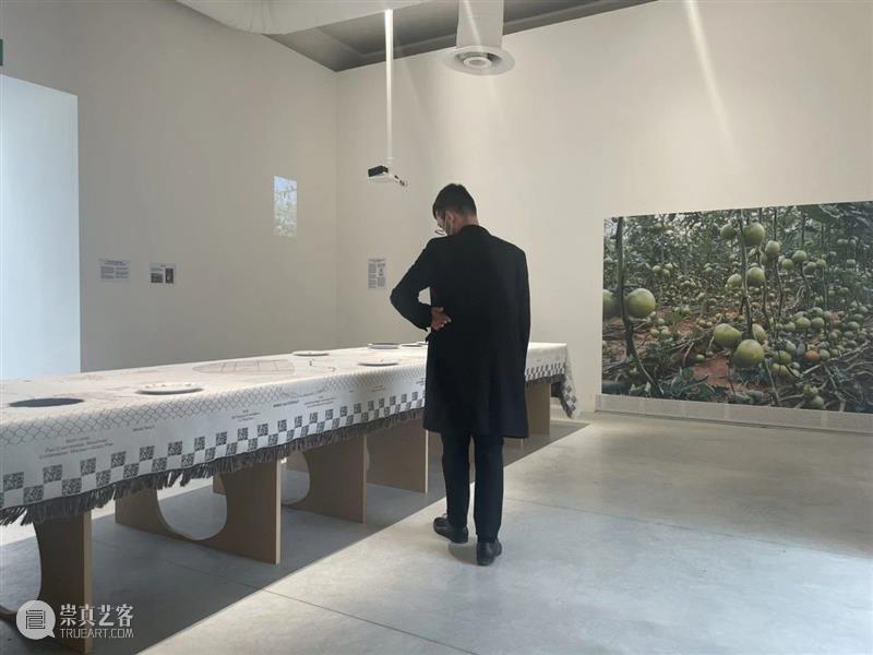 减碳从水泥开始｜2021年威双金狮奖最佳国家馆：联合酋“湿地” 湿地 国家馆 金狮奖 水泥 威双 SITE 策展人 寺本宪 Kenichi Wetland 崇真艺客
