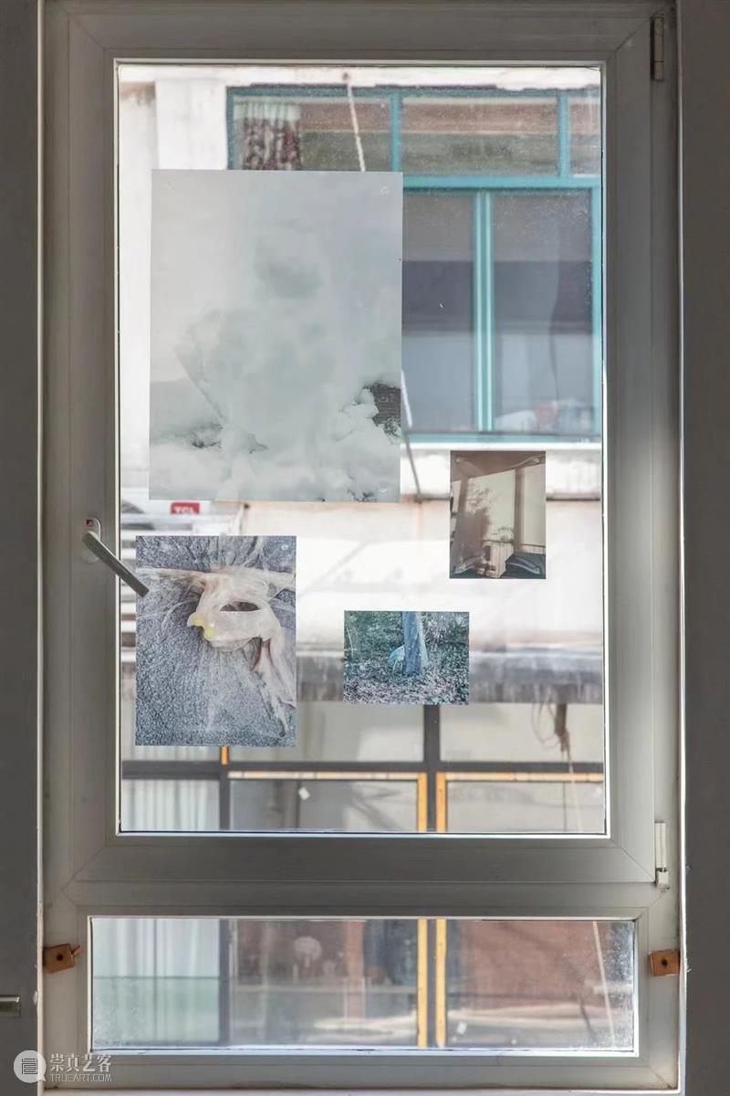aaajiao | “我死于互联网” 展览现场 aaa jiao 互联网 现场 Internet展期 时间 Wed Sun 铜仁路 联华公寓 崇真艺客